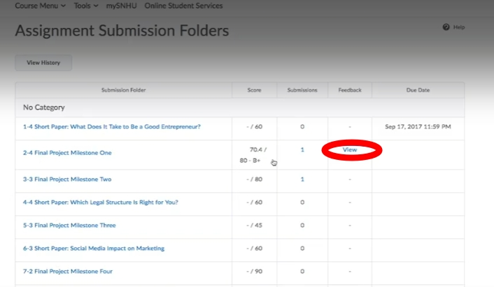 Clicking "view" will show you the grading rubric for the assignment, detailing your performance on each key element.
Viewing Detailed Feedback
